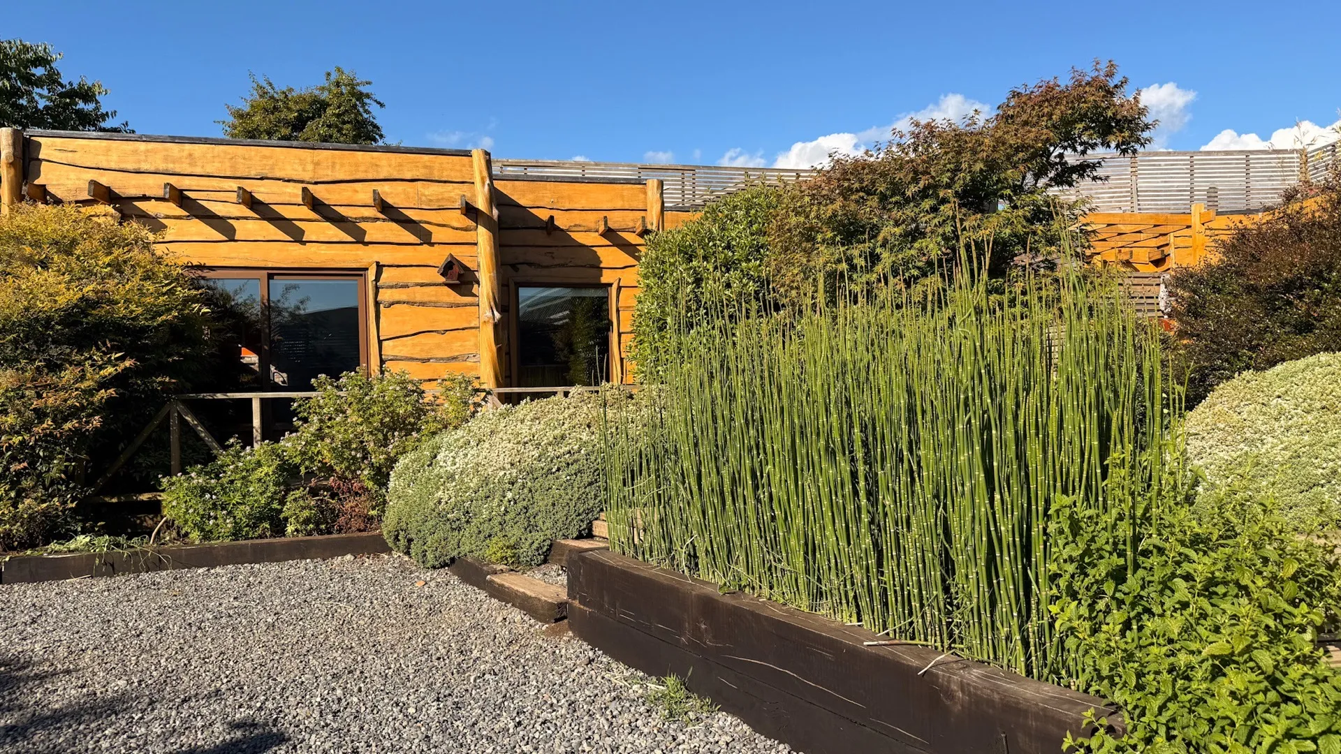 Fachada Cabaña Carpintero Negro