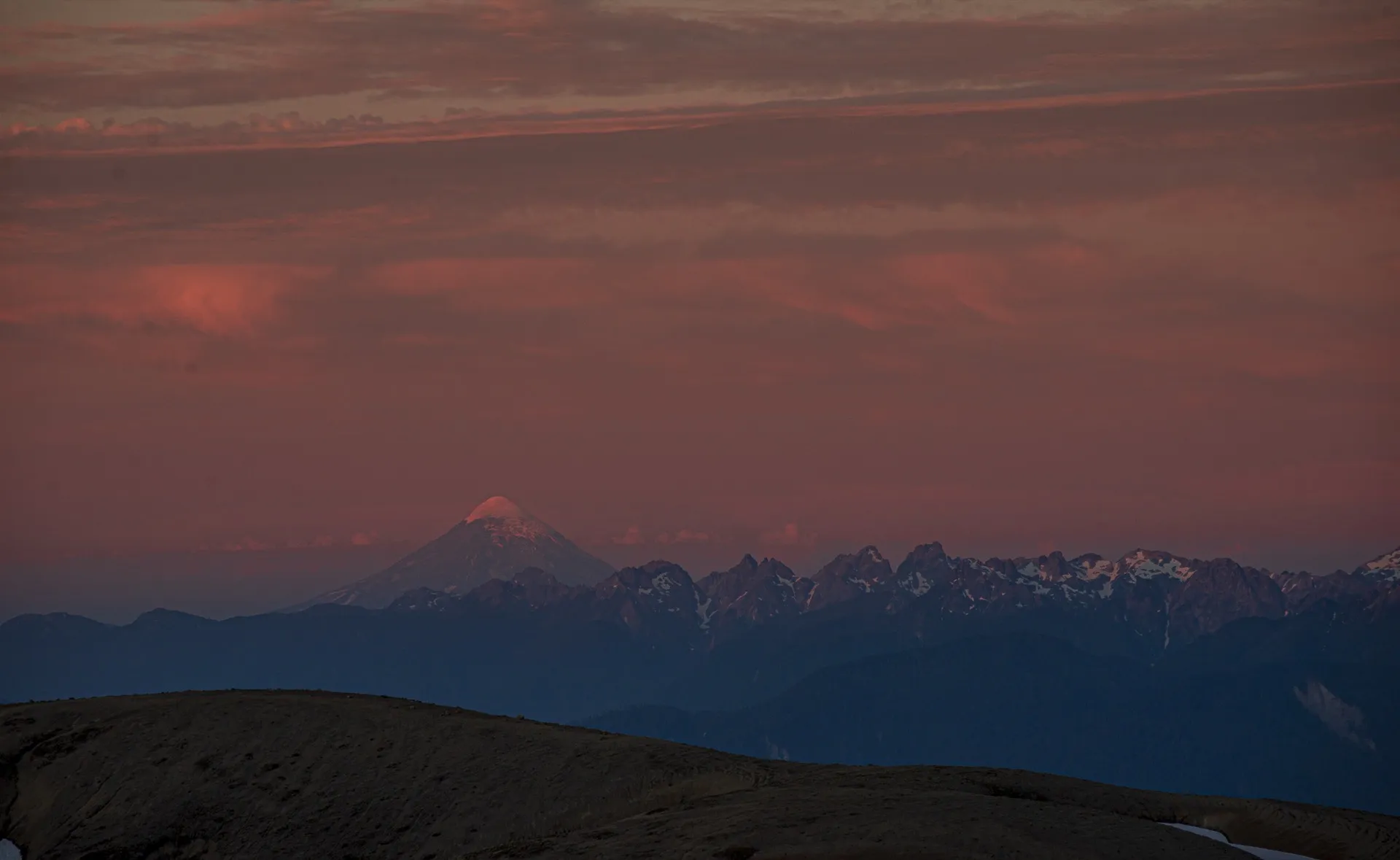 Bosque nativo en Futrono