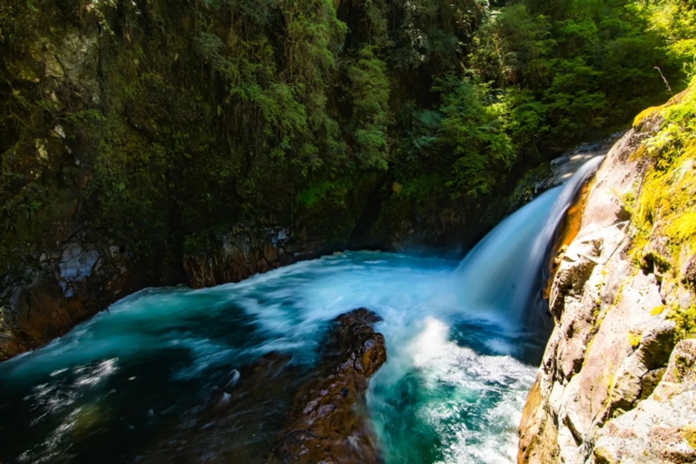 Cascada Caunahue en el bosque nativo de Futrono