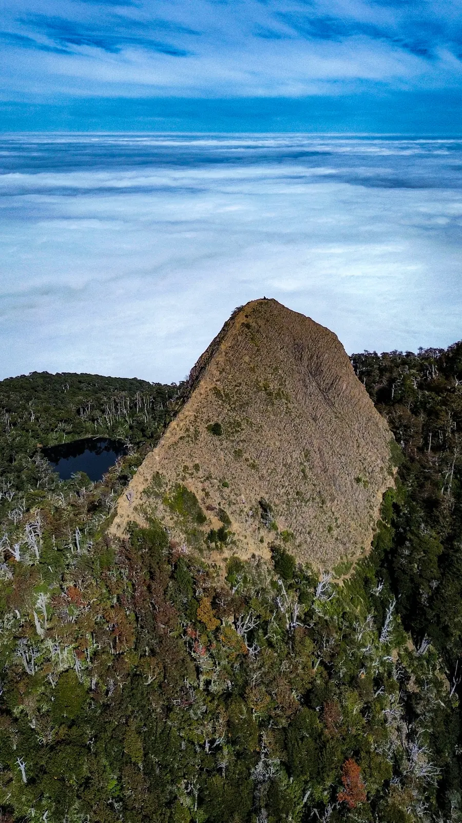Cerro piramidal sobre mar de nubes en Futrono