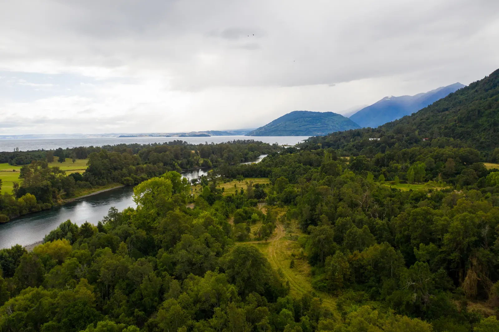 Vista aérea del Río Calcurrupe desembocando en el Lago Ranco, Futrono